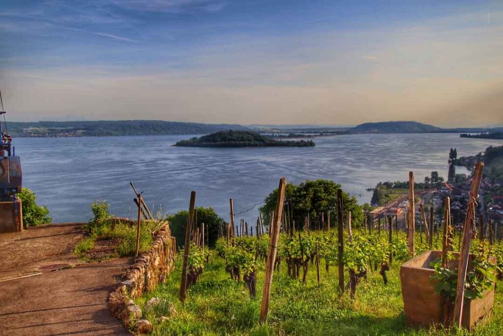 Bielersee – Erfolgreiche SEO-Strategien für KMUs & Dienstleister in Biel